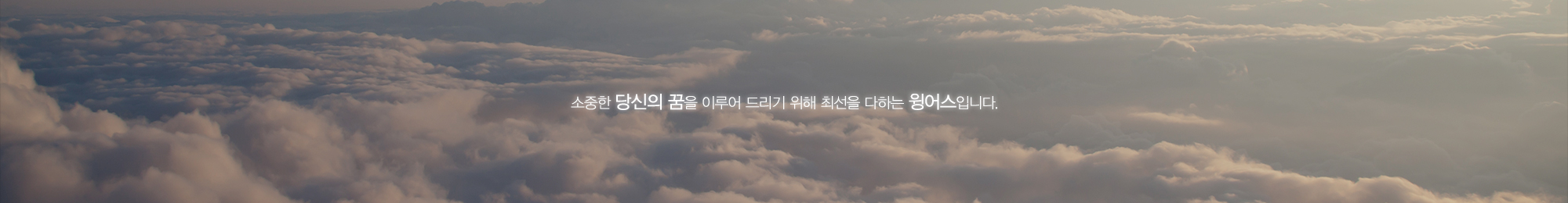 윙어스_공통상단
